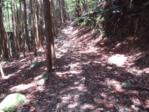 登山道